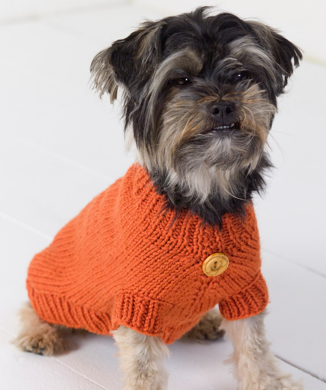 Printable Easy Knit Dog Sweater Patterns Free Free Printable Pattern Printable Easy Knit Dog Sweater Patterns Free Free Printable Pattern